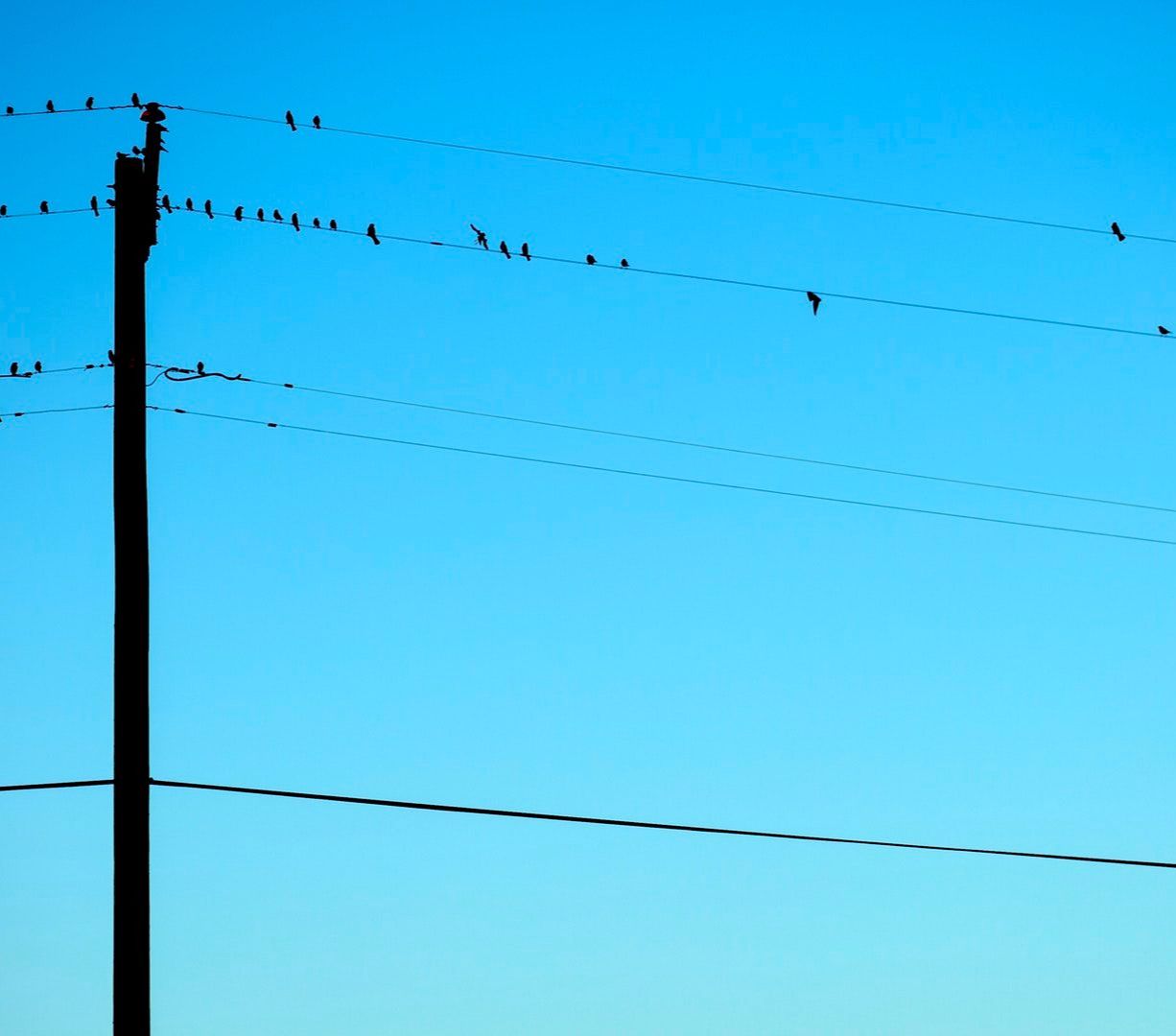Telecoms